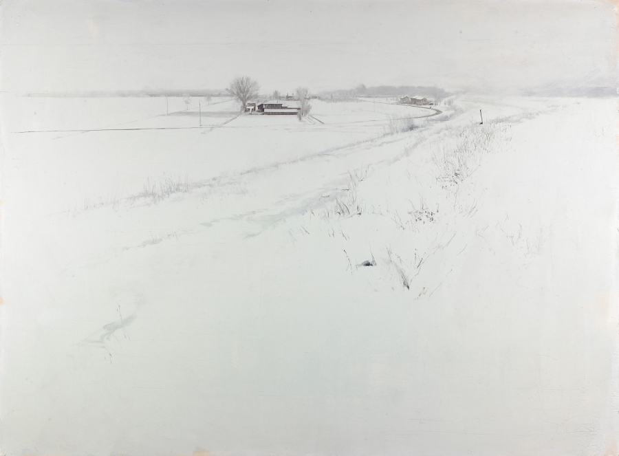 <span class='grassetto'>Bianco-pianura</span>[br]2011, olio su tavola, cm. 93 x 126
