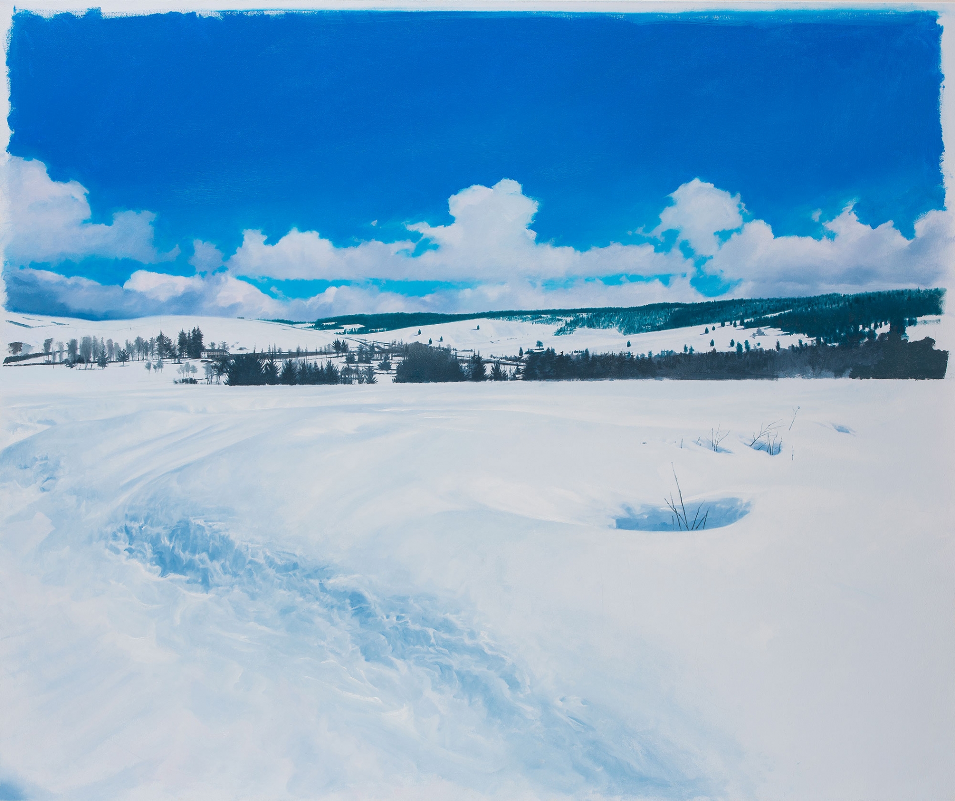 <span class='grassetto'>Neve.Le nuvole che passano</span>[br],2015,olio su tela, cm 100x120