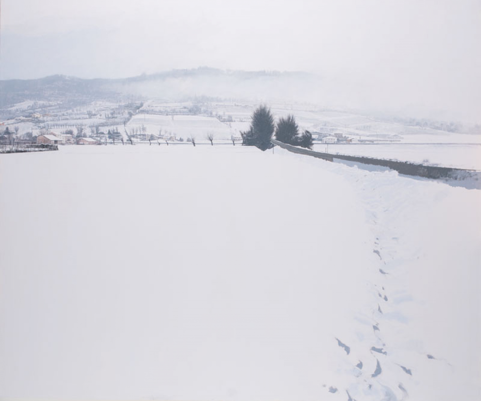 Neve assoluta